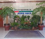 公司簡(jiǎn)介